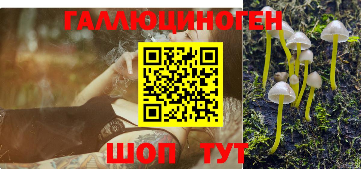 Галлюциногенные грибы мухоморы  Вход с VPN  Кольчугино  Галлюциногенные грибы Psilocybine cubensis 